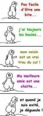 la vie d'une bite